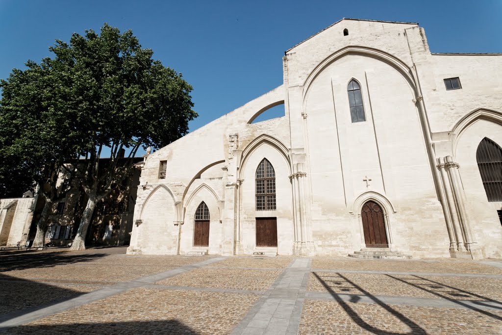 eglise des celestins avignon